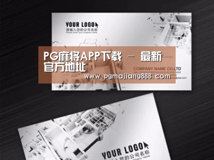 项目名称五