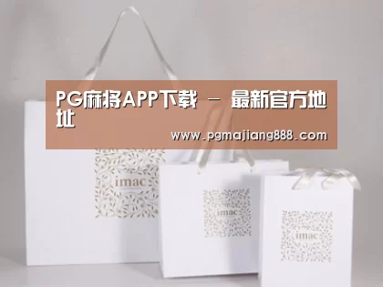 项目名称十一