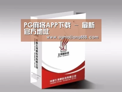项目名称十三