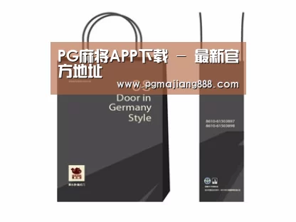项目名称十四