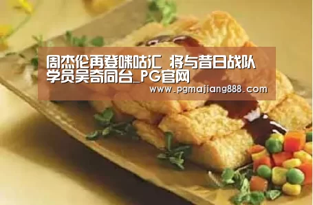PG麻将在线玩