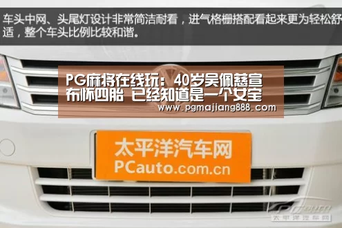 PG麻将在线玩:40岁吴佩慈宣布怀四胎 已经知道是一个女宝宝(图4) PG麻将APP下载