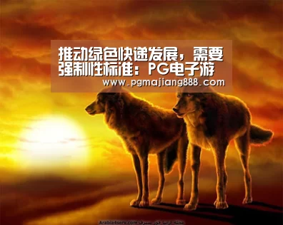 PG官网