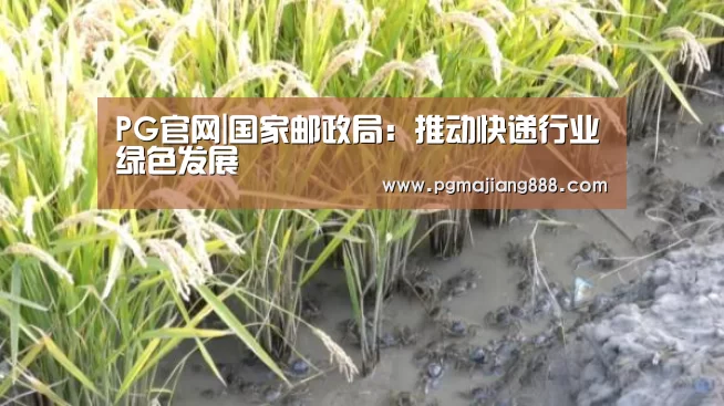PG官网|国家邮政局:推动快递行业绿色发展(图1) PG麻将在线玩